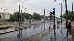 أمطار الخير تتساقط على مدينة يافا 